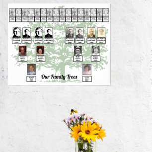 Lichtgroene bladboom die twee familiebomen trekken poster