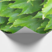 Lichtgroene Ivy Leaves Cadeaupapier (Hoek)