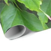 Lichtgroene Ivy Leaves Cadeaupapier (Rol Hoek)