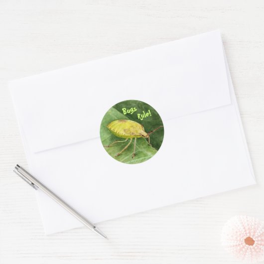 Lichtgroene stinkbug ronde sticker (Envelop)