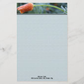 Lichtjes bevroren California-klaproos gepersonalis Briefpapier (Voorkant)