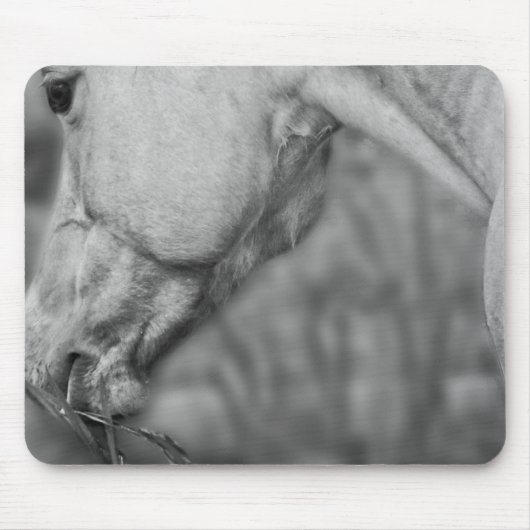 Lichtjes Dun Dapples - Mousepad Muismat (Voorkant)