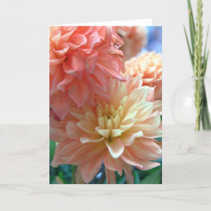 lichtoranje dahlia's 2 kaart