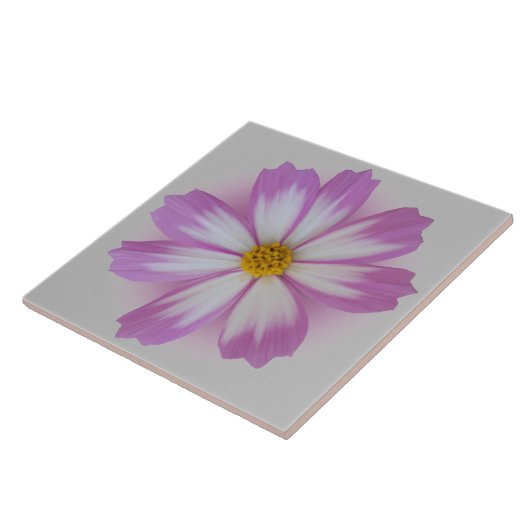 Lichtpaarse bloem tegeltje (Zijkant)