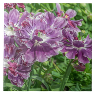 Lichtpaarse bloemen ceramiektegel tegeltje