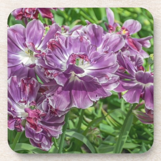Lichtpaarse bloemen harde plastic onderzetters (Voorkant)
