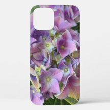 Lichtpaarse hortensia