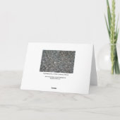 Lichtpatronen op water kaart (Achterkant)