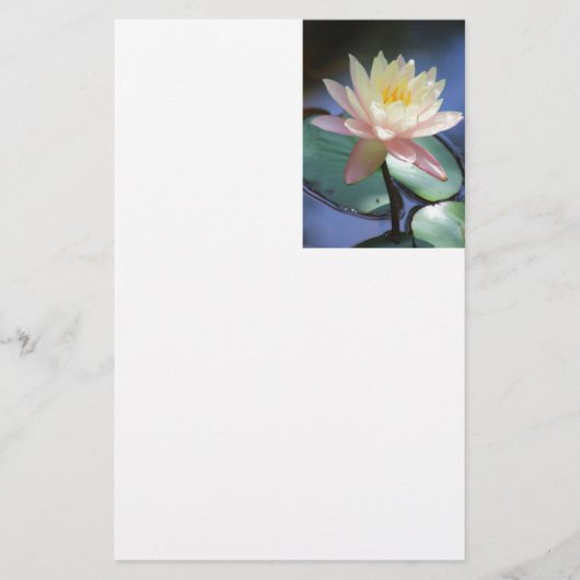 lichtreflectie briefpapier (Voorkant)