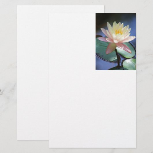 lichtreflectie briefpapier (Voorkant / Achterkant)