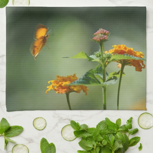 Lichtringen Theedoek (Gevouwen)