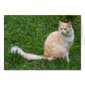 Lichtrode schoonheid (Voorkant Horizontaal)