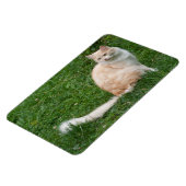 Lichtrode schoonheid magneet (Linkerzijde)