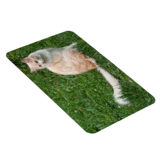 Lichtrode schoonheid magneet (Rechterzijde)