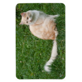 Lichtrode schoonheid magneet (Verticaal)