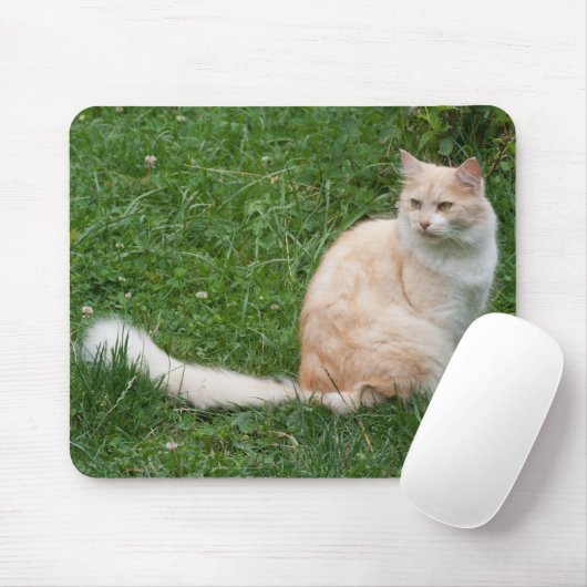 Lichtrode schoonheid muismat (Met muis)