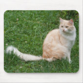 Lichtrode schoonheid muismat (Voorkant)