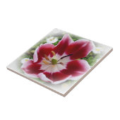 lichtrode tulp tegeltje (Zijkant)