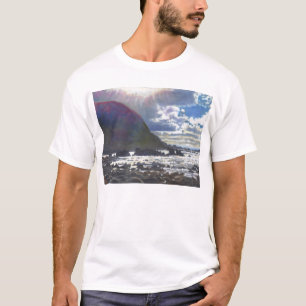 Lichtrollen in 2013 t-shirt