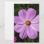 lichtroze bloemen briefpapier (Voorkant / Achterkant)