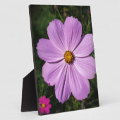 lichtroze bloemen fotoplaat (Zijkant)