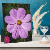 lichtroze bloemen fotoplaat (Zijkant)
