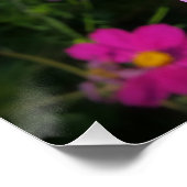 lichtroze bloemen poster (Hoek)