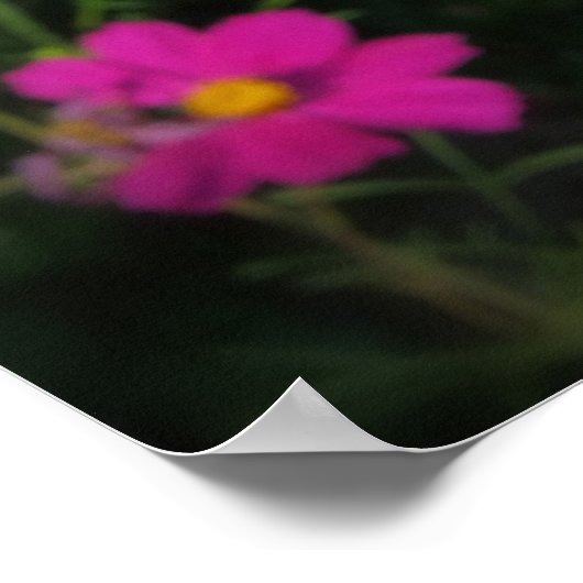 lichtroze bloemen poster (Hoek)