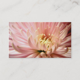 lichtroze chrysanthemabloem visitekaartje