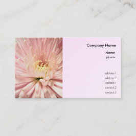 lichtroze chrysanthemabloem visitekaartje
