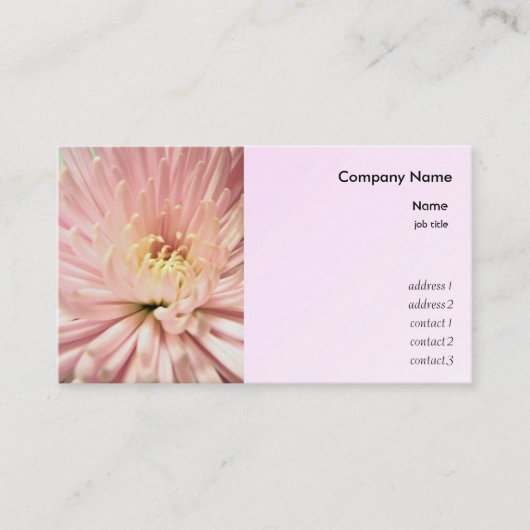 lichtroze chrysanthemabloem visitekaartje (Voorkant)