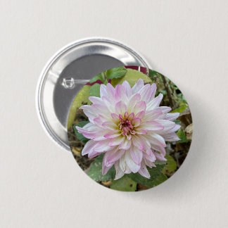 Lichtroze Dahlia met Roze Punten Ronde Button 5,7 Cm