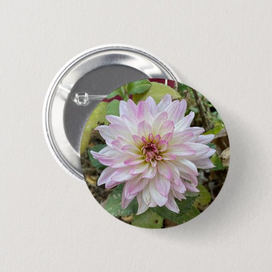 Lichtroze Dahlia met Roze Punten Ronde Button 5,7 Cm (Voorkant /achterkant)
