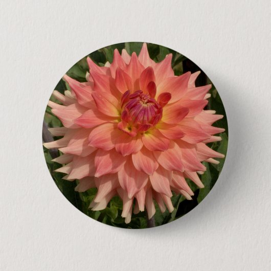 Lichtroze Dahlia Petals Motif Ronde Button 5,7 Cm (Voorkant)