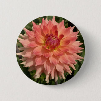 Lichtroze Dahlia Petals Motif Ronde Button 5,7 Cm