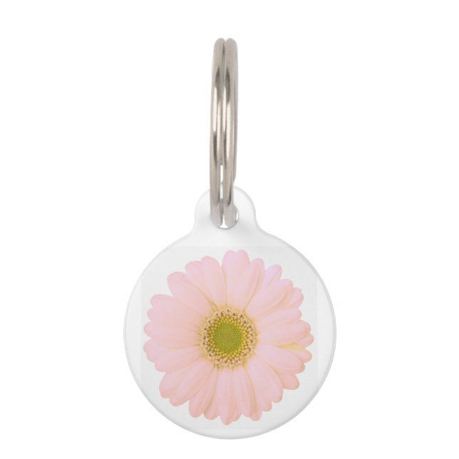 Lichtroze Daisy op White Personalized Huisdierpenning (Voorkant)