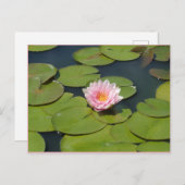 Lichtroze en geel Briefkaart (Voorkant / Achterkant)