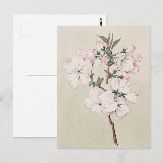 Lichtroze Floral Briefkaart (Voorkant / Achterkant)