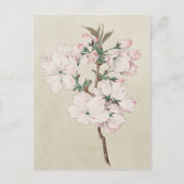 Lichtroze Floral Briefkaart (Voorkant)