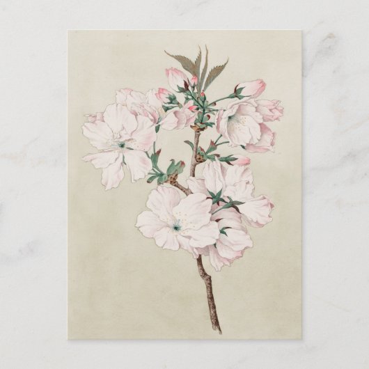 Lichtroze Floral Briefkaart (Voorkant)