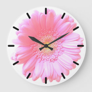 Lichtroze gerbera daisy grote klok