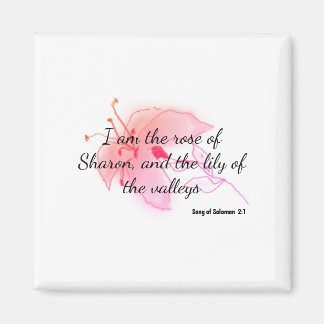 lichtroze lelie magneet