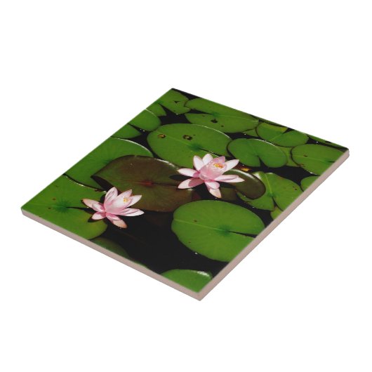 lichtroze lotusbloem tegeltje (Zijkant)