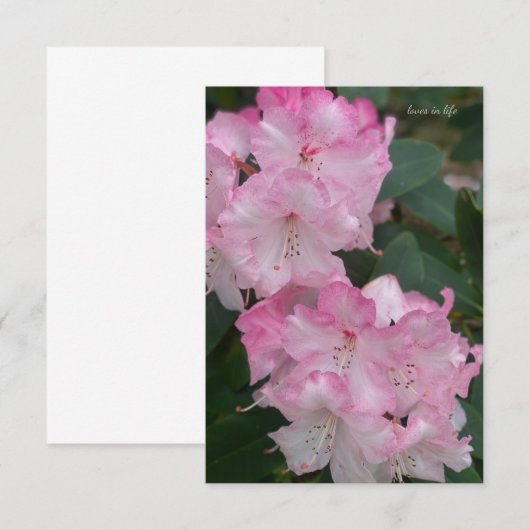 Lichtroze Rhododendron Notitiekaartje (Voorkant / Achterkant)