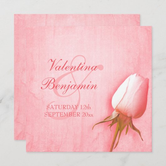 Lichtroze roos-buis bruiloft vierkant uitnodiging (Voorkant / Achterkant)