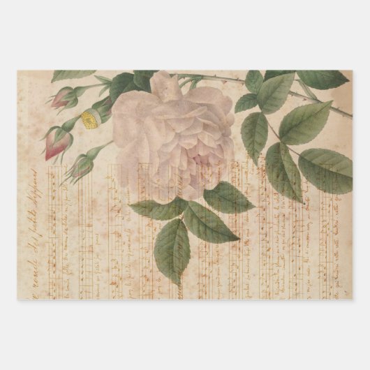  lichtroze Roos en muziek Inpakpapier Vel (Voorkant)