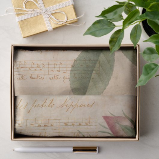  lichtroze Roos en ontkoppeling van muziek Tissuepapier (Geschenk)