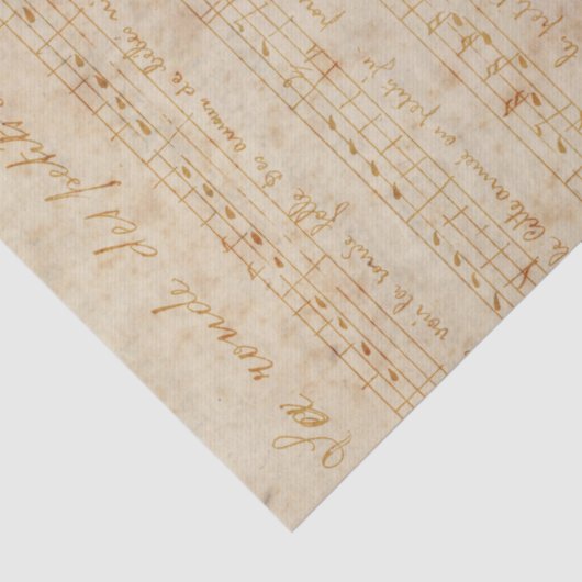  lichtroze Roos en ontkoppeling van muziek Tissuepapier (Detail)