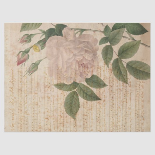  lichtroze Roos en ontkoppeling van muziek Tissuepapier (Voorkant)