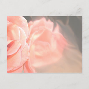 Lichtroze roos reflectie in zilver briefkaart